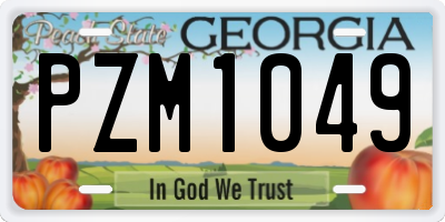 GA license plate PZM1049