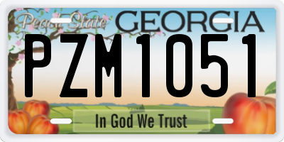 GA license plate PZM1051