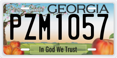 GA license plate PZM1057
