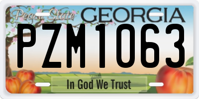 GA license plate PZM1063