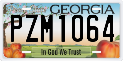 GA license plate PZM1064