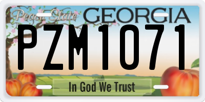 GA license plate PZM1071