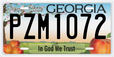 GA license plate PZM1072