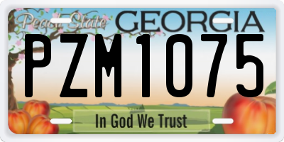 GA license plate PZM1075