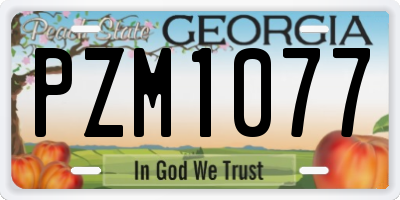 GA license plate PZM1077