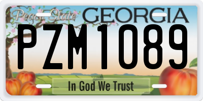 GA license plate PZM1089