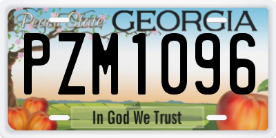 GA license plate PZM1096