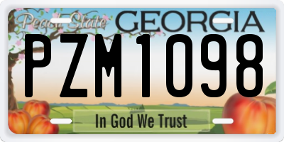 GA license plate PZM1098