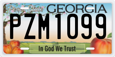 GA license plate PZM1099
