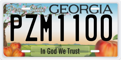 GA license plate PZM1100