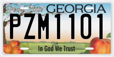 GA license plate PZM1101
