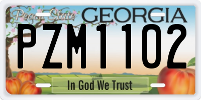 GA license plate PZM1102