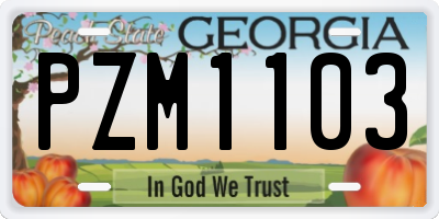 GA license plate PZM1103