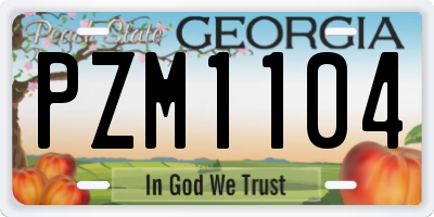 GA license plate PZM1104