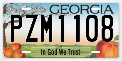 GA license plate PZM1108
