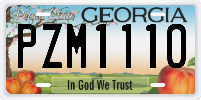 GA license plate PZM1110