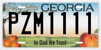 GA license plate PZM1111
