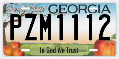 GA license plate PZM1112