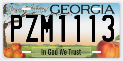 GA license plate PZM1113