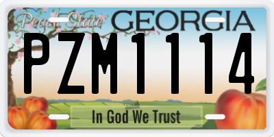 GA license plate PZM1114