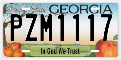 GA license plate PZM1117