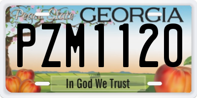 GA license plate PZM1120