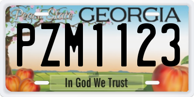 GA license plate PZM1123