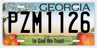 GA license plate PZM1126