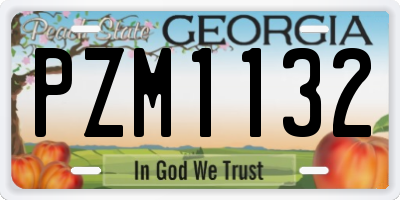 GA license plate PZM1132