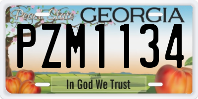GA license plate PZM1134
