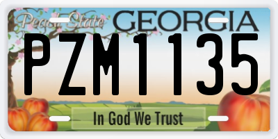 GA license plate PZM1135