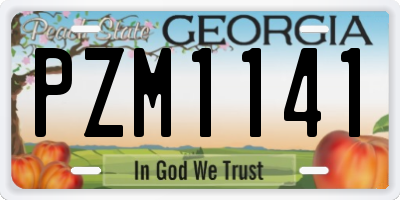 GA license plate PZM1141
