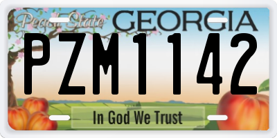 GA license plate PZM1142