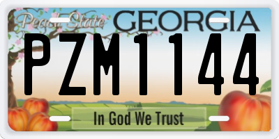 GA license plate PZM1144