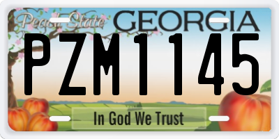 GA license plate PZM1145