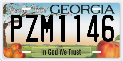 GA license plate PZM1146