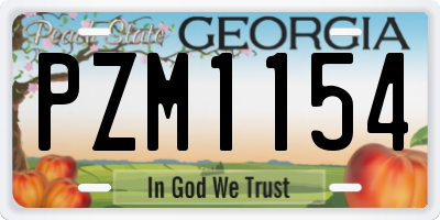 GA license plate PZM1154