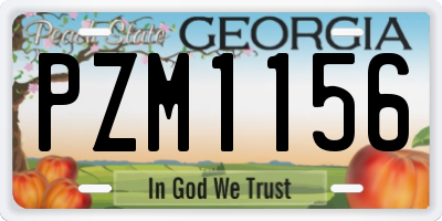 GA license plate PZM1156