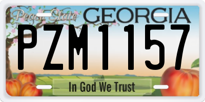 GA license plate PZM1157