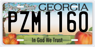 GA license plate PZM1160