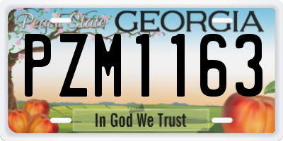 GA license plate PZM1163