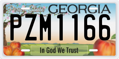 GA license plate PZM1166