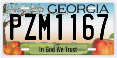 GA license plate PZM1167