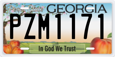 GA license plate PZM1171