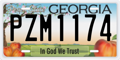 GA license plate PZM1174