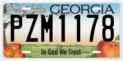 GA license plate PZM1178