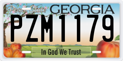 GA license plate PZM1179