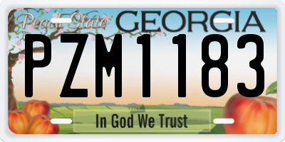 GA license plate PZM1183