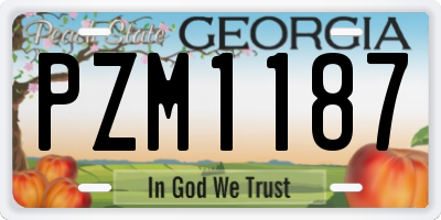 GA license plate PZM1187