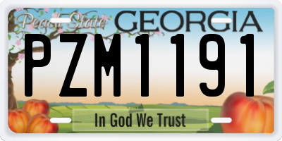 GA license plate PZM1191